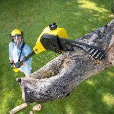 Best Organic Lawn Care Solutions  in Oakland, SC